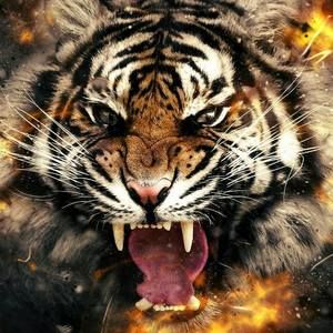 Meet your Posher, Deron